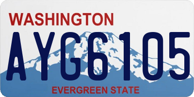 WA license plate AYG6105