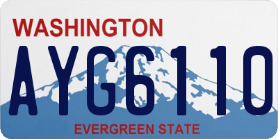 WA license plate AYG6110