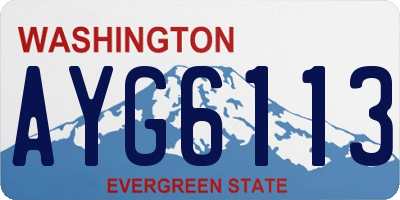 WA license plate AYG6113