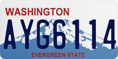 WA license plate AYG6114