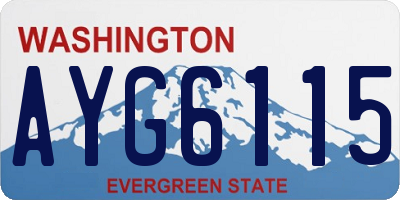 WA license plate AYG6115