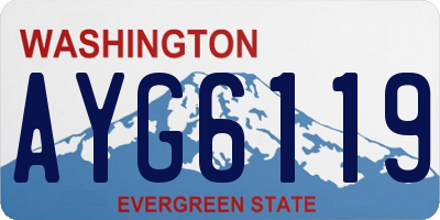 WA license plate AYG6119