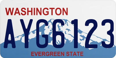 WA license plate AYG6123