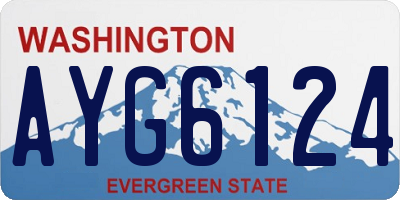 WA license plate AYG6124