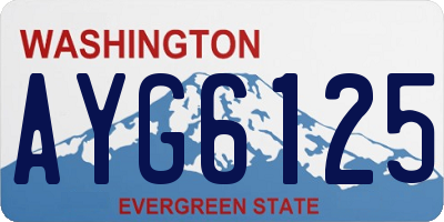 WA license plate AYG6125