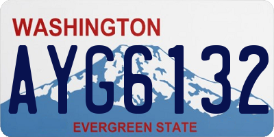WA license plate AYG6132