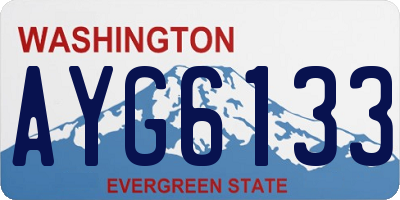 WA license plate AYG6133