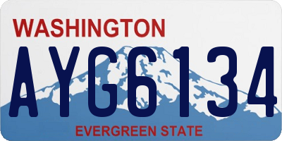 WA license plate AYG6134
