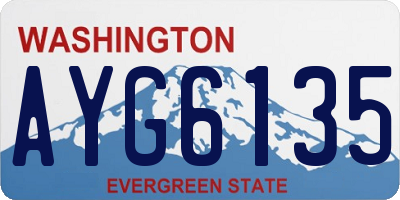 WA license plate AYG6135