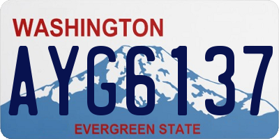WA license plate AYG6137