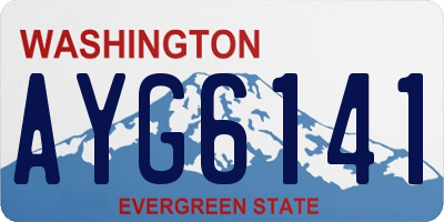 WA license plate AYG6141