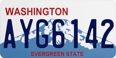 WA license plate AYG6142
