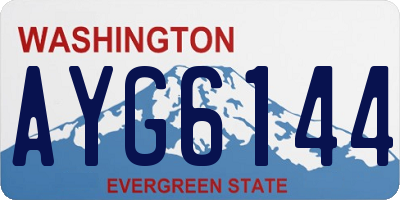 WA license plate AYG6144