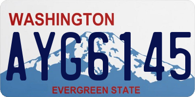 WA license plate AYG6145