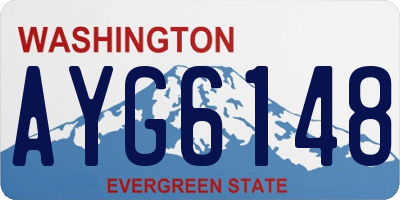 WA license plate AYG6148