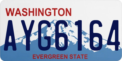WA license plate AYG6164