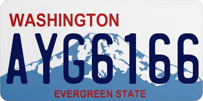 WA license plate AYG6166