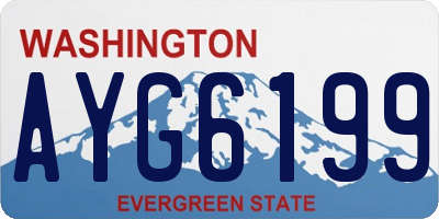 WA license plate AYG6199