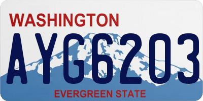 WA license plate AYG6203