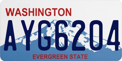 WA license plate AYG6204
