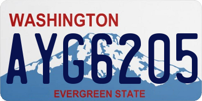 WA license plate AYG6205