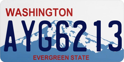 WA license plate AYG6213