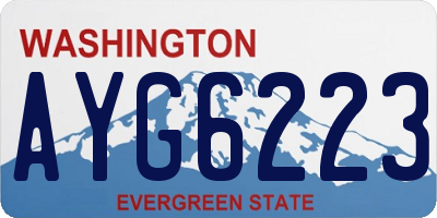 WA license plate AYG6223
