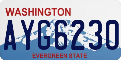 WA license plate AYG6230