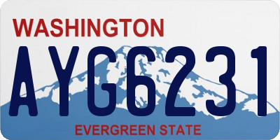 WA license plate AYG6231