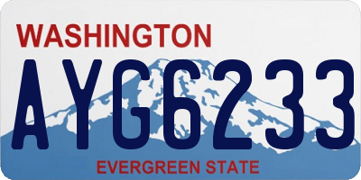 WA license plate AYG6233