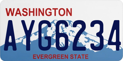 WA license plate AYG6234
