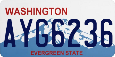WA license plate AYG6236