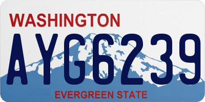 WA license plate AYG6239