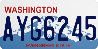 WA license plate AYG6245