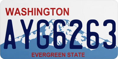 WA license plate AYG6263