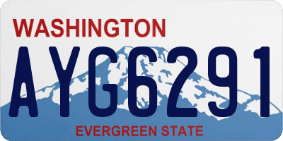 WA license plate AYG6291