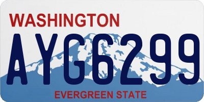 WA license plate AYG6299