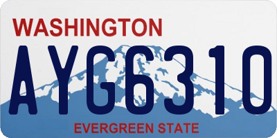 WA license plate AYG6310