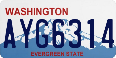 WA license plate AYG6314
