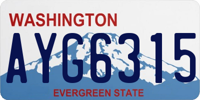 WA license plate AYG6315
