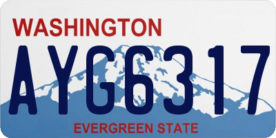WA license plate AYG6317