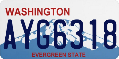 WA license plate AYG6318