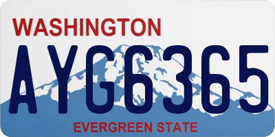 WA license plate AYG6365