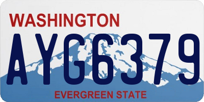 WA license plate AYG6379