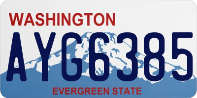 WA license plate AYG6385