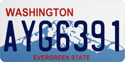 WA license plate AYG6391