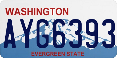 WA license plate AYG6393