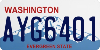 WA license plate AYG6401