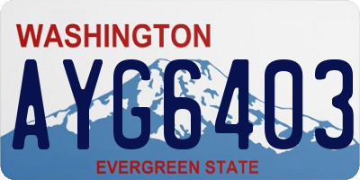 WA license plate AYG6403