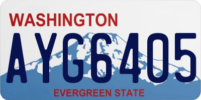WA license plate AYG6405